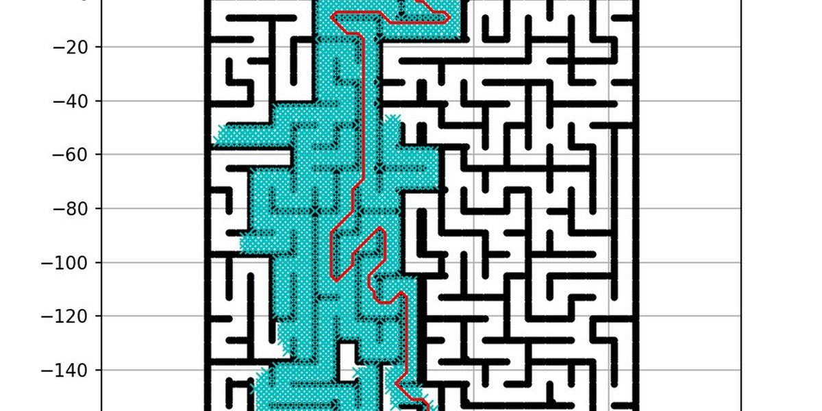 Maze Detail